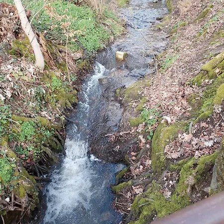 Апартаменты Haus Am Baechel *