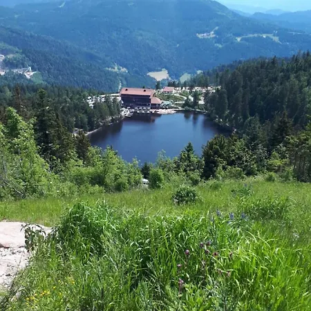 Apartamento Haus Am Baechel *