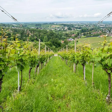 Apartamento Haus Am Baechel *