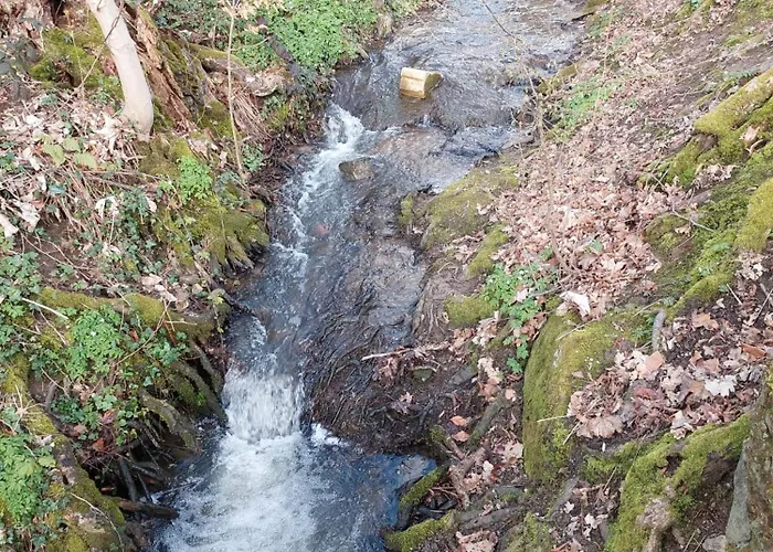 Apartment Haus Am Bächel *