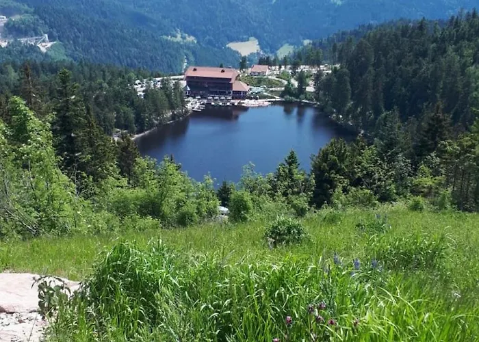 Apartment Haus Am Bächel *