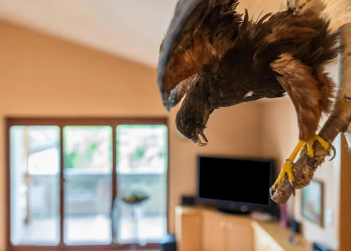 Haus Am Bächel * Lauf