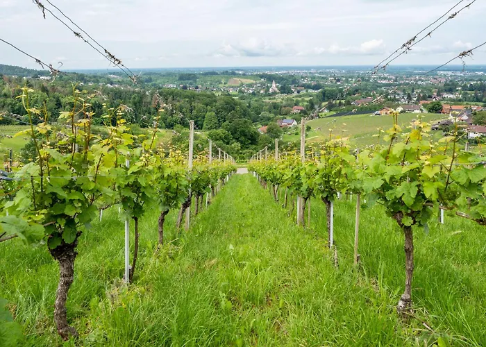 Apartment Haus Am Bächel *